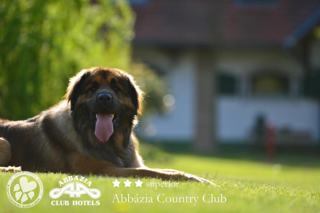 Отель Abbazia Country Club Nemesnep Экстерьер фото